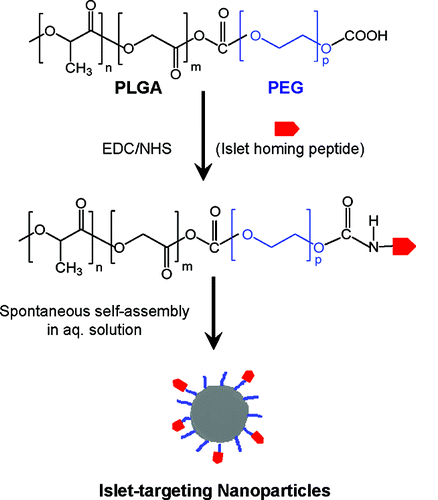 Nanoparticelle